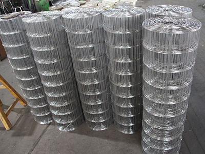 不锈钢电焊网 - 安平县青琦丝网制品有限公司图片3