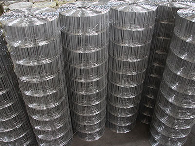 不锈钢电焊网 - 安平县青琦丝网制品有限公司图片4